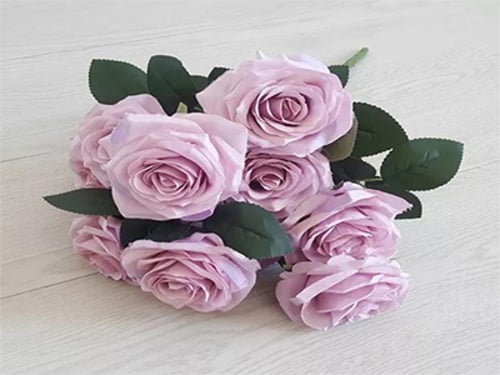 4282 - صورة 1
