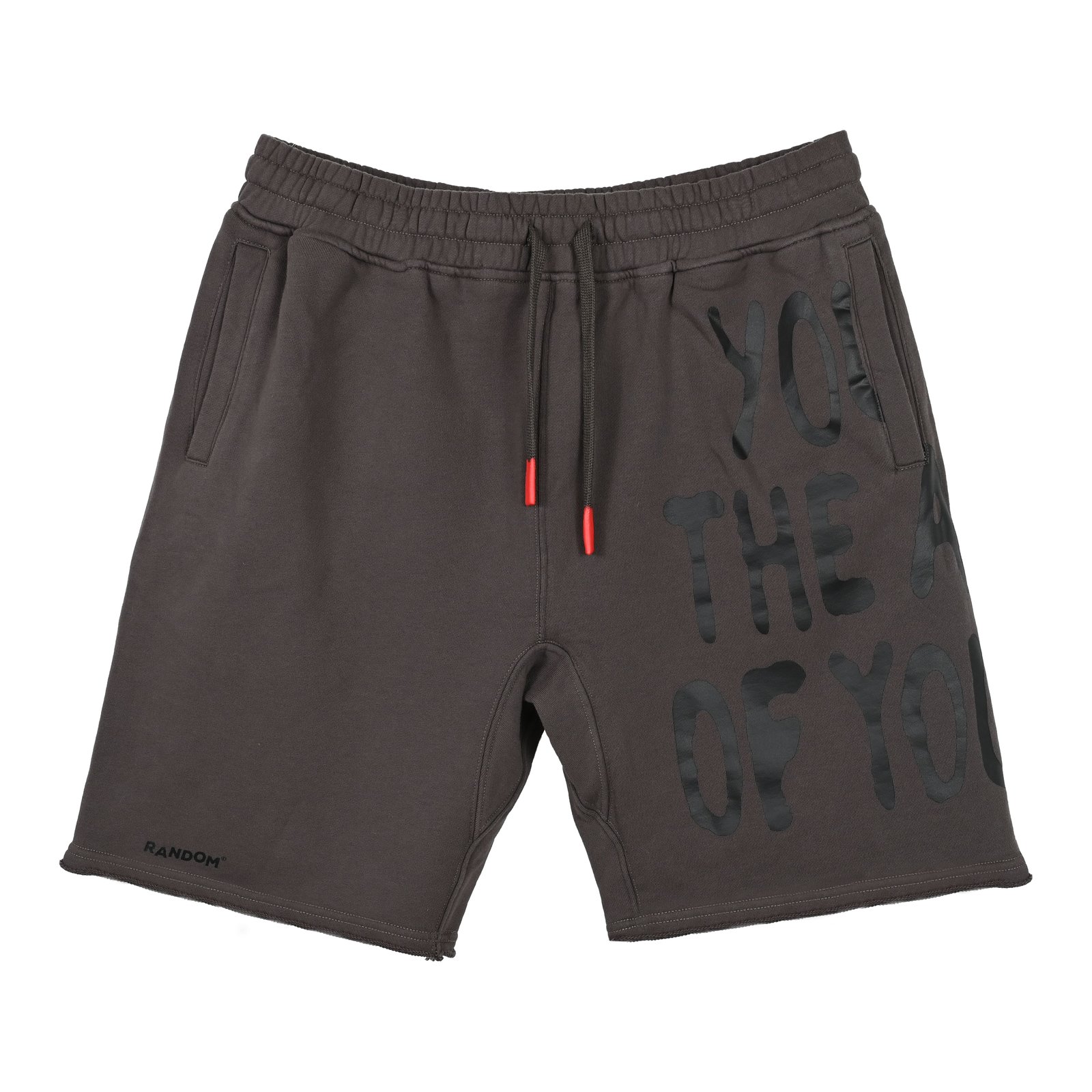 Random SS24 | Dark Grey Short - صورة 1