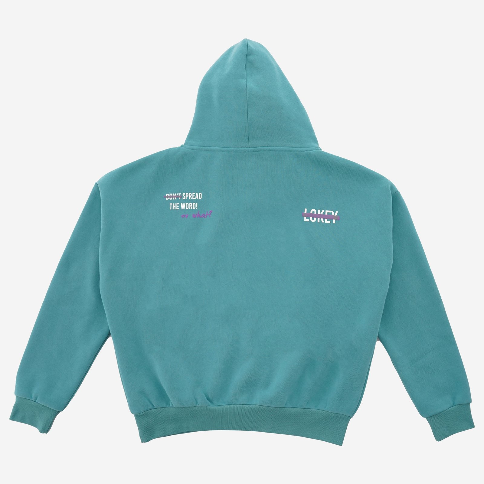 L+ TURQUOISE HOODIE  - Image 2