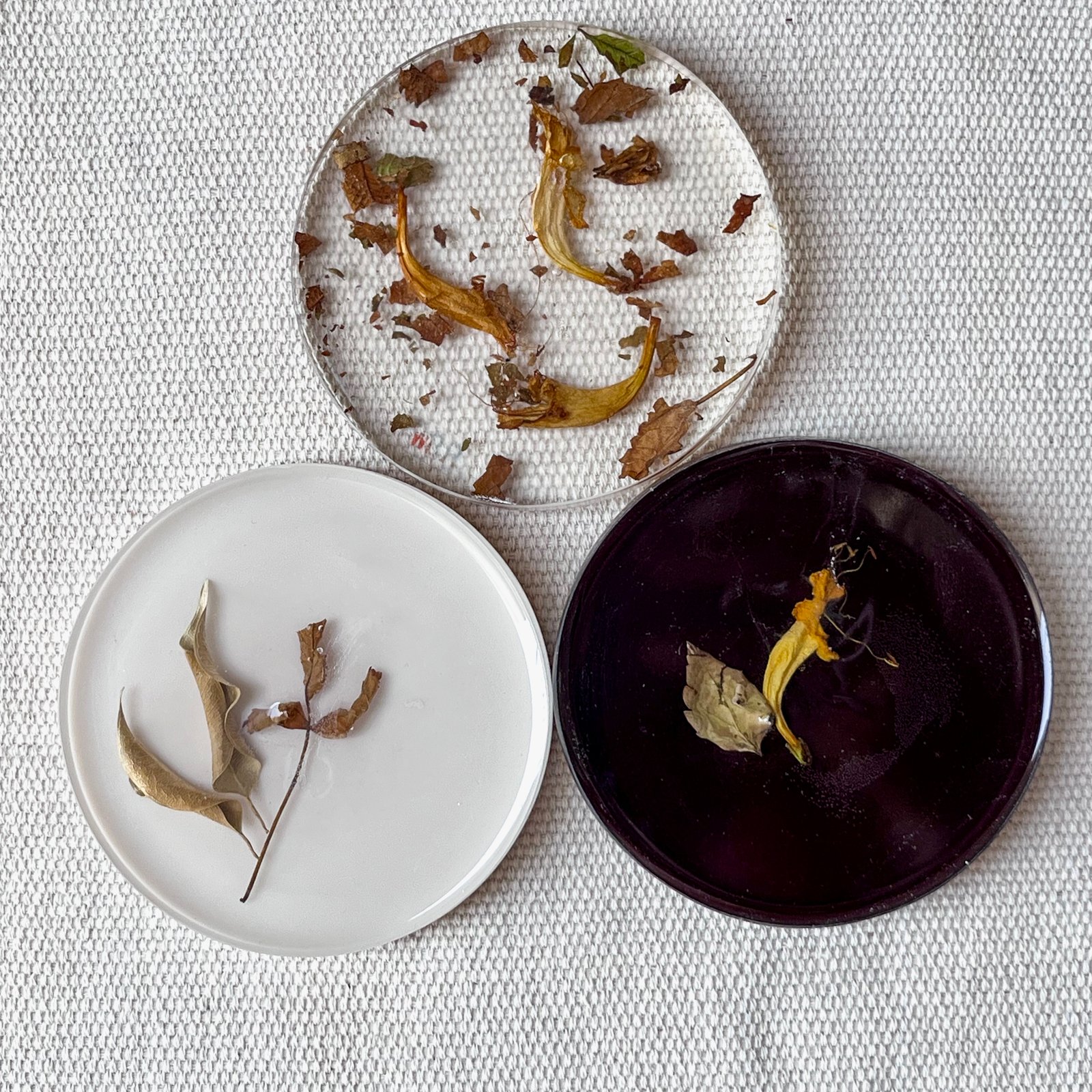 Dark brown, off white & yellow floral coasters set - صورة 5