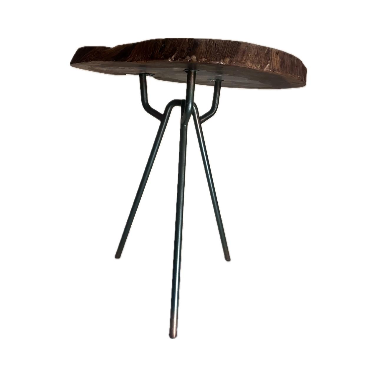 Tree Log- Natural Leaves Side Table  - Image 3