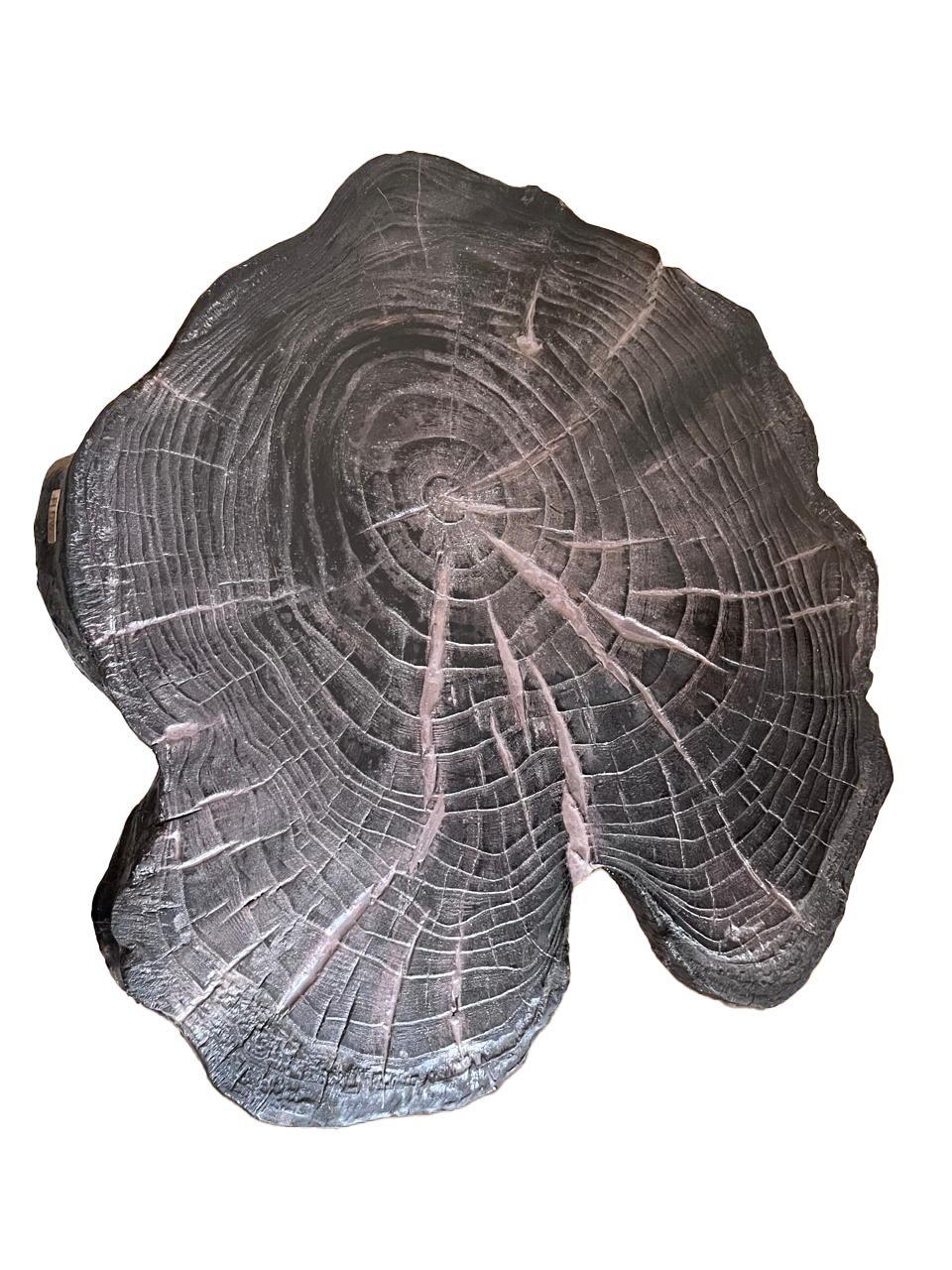 Black Tree Log Side Table - Image 2