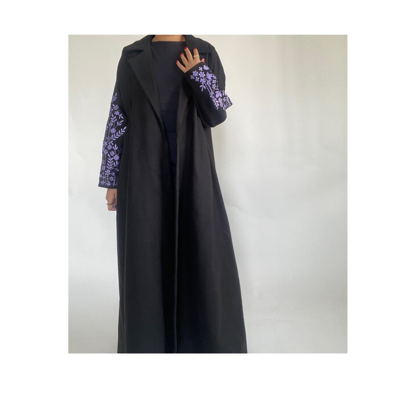 WA30 - صورة 2