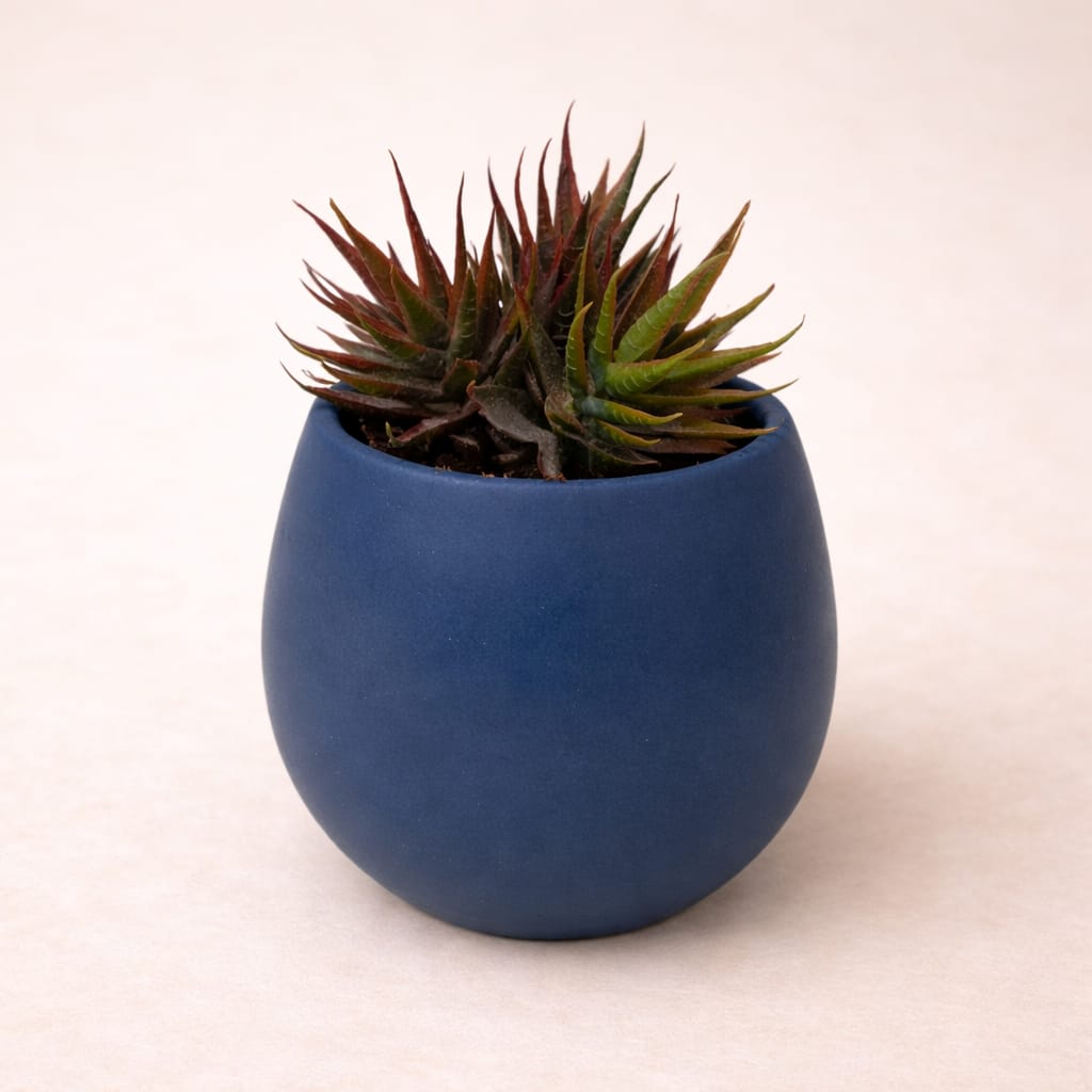 Artificial Star Plant 🌿 - Image 2