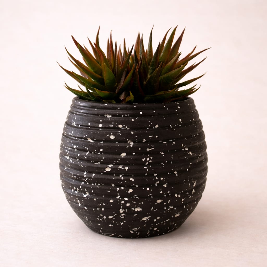 Artificial Star Plant 🌿 - Image 4