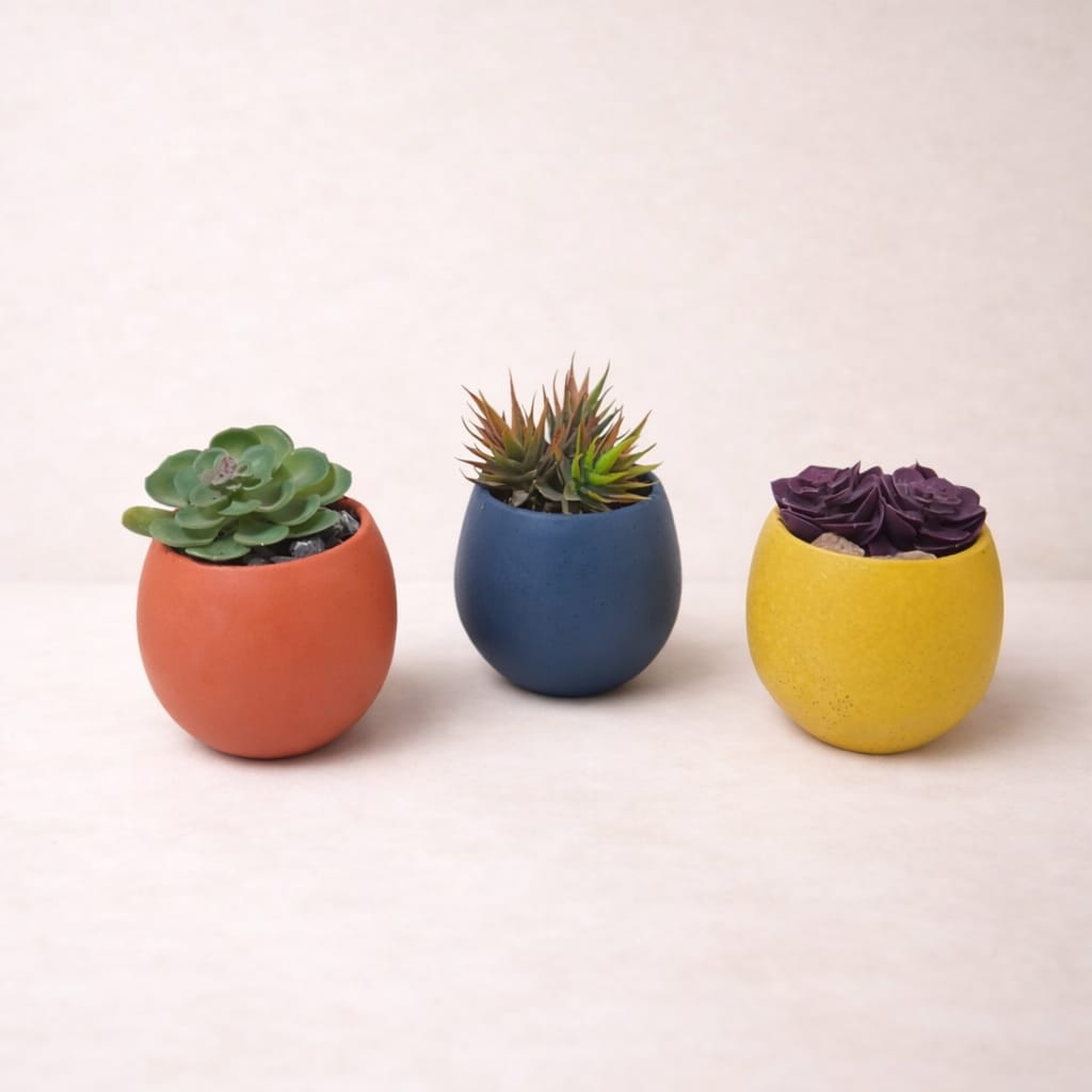 Artificial Succulent Set 🌿 - صورة 1