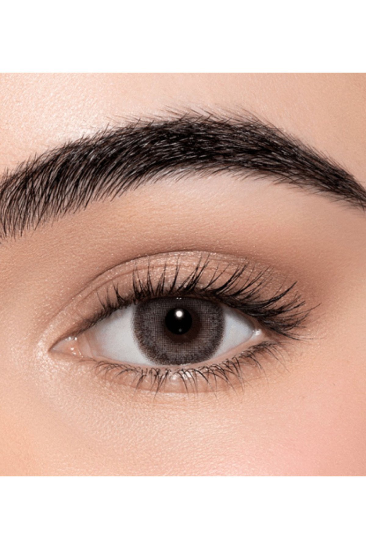 عدسات - لنس مي كنتور Contour - صورة 1