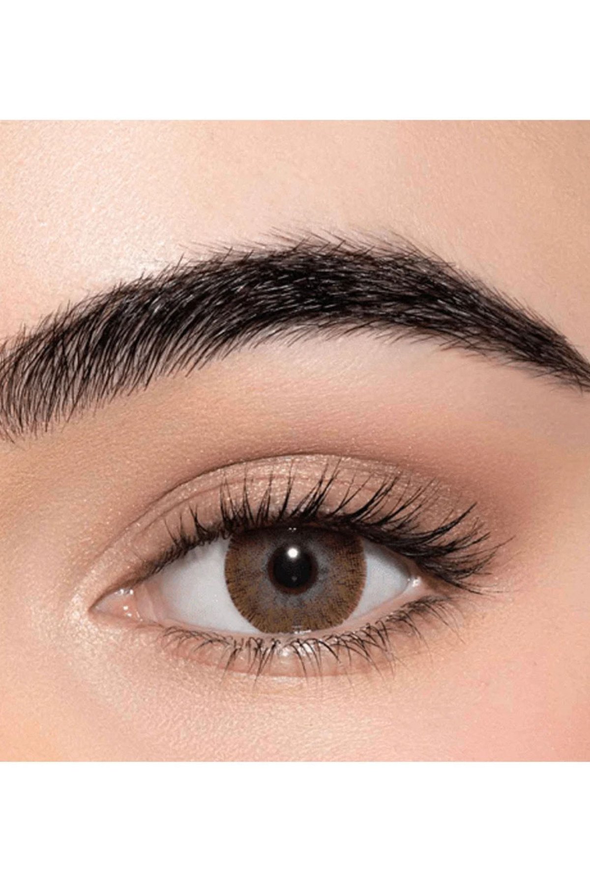 عدسات - لنس مي براون brown - صورة 1
