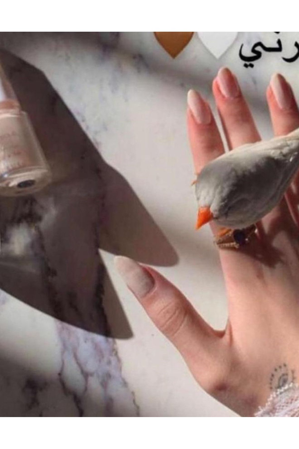 مناكير من ريل بيوتي 24 قطعه شكل جديد - صورة 3