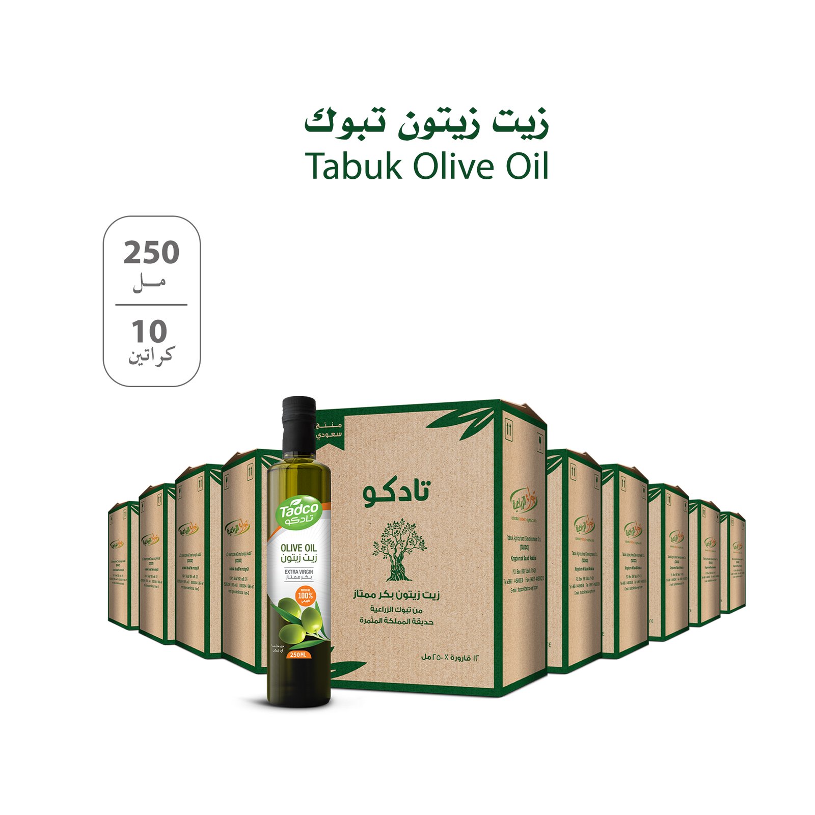 10 كراتين زيت زيتون تبوك - بريميوم 250 مل (30 لتر) - صورة 1