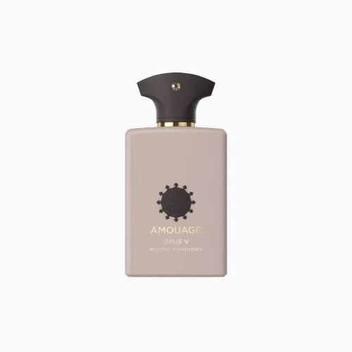 عطر امواج اوبس الخامس V او دو بارفيوم 100مل - Image 1