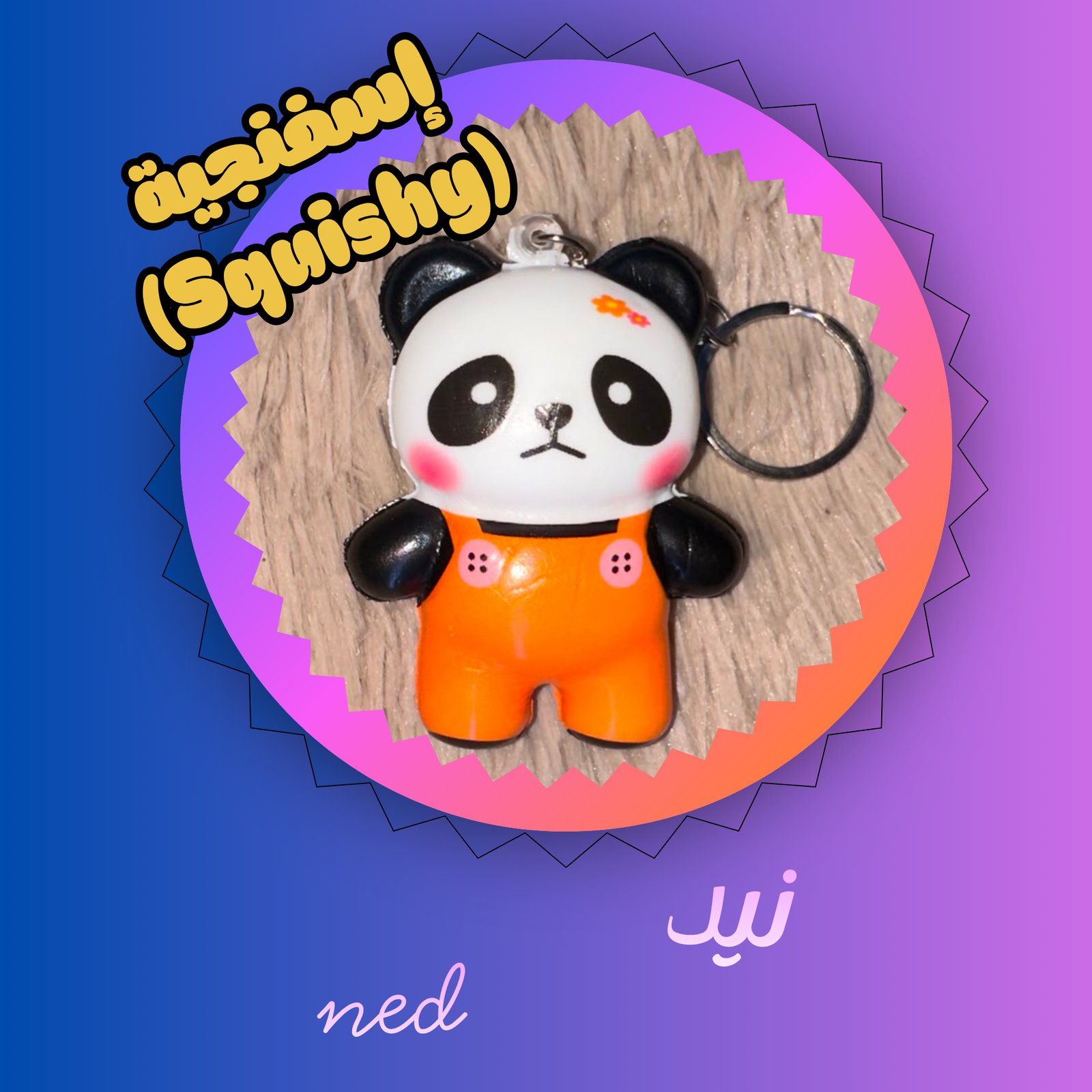 نيد ned - صورة 1
