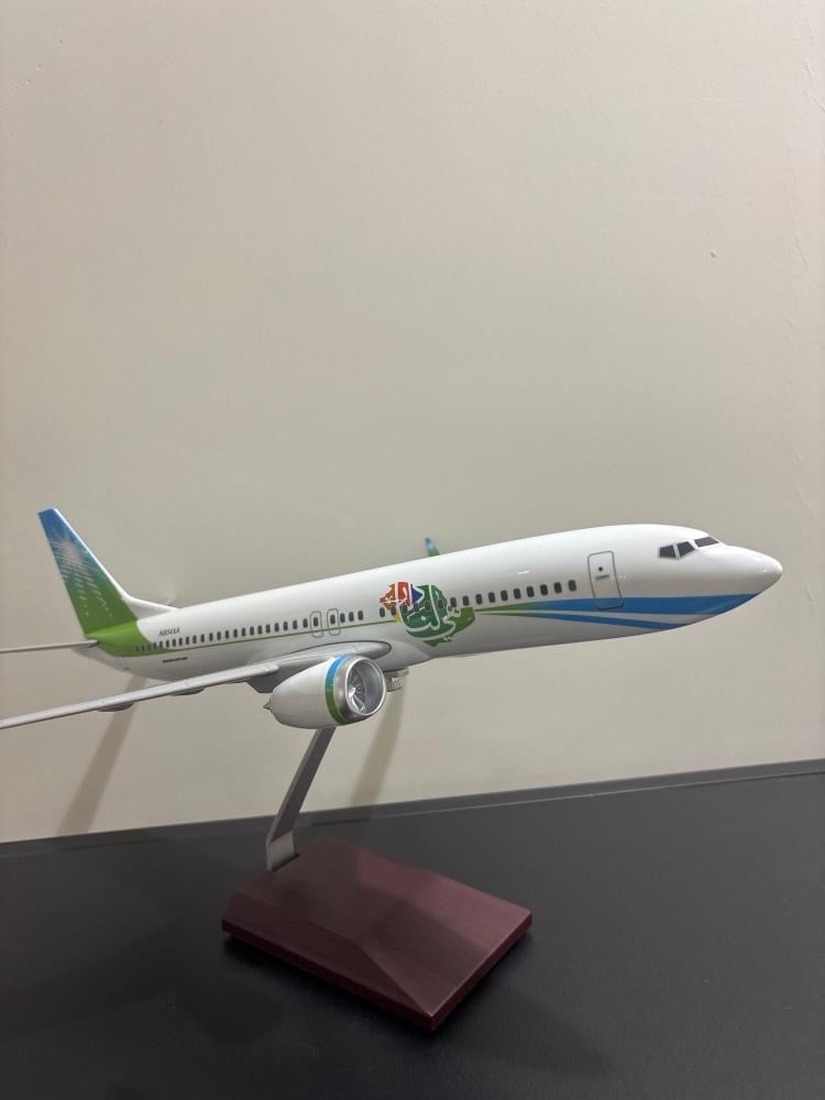 مجسم طائرة أرامكو B737 بشعار اليوم الوطني - صورة 1