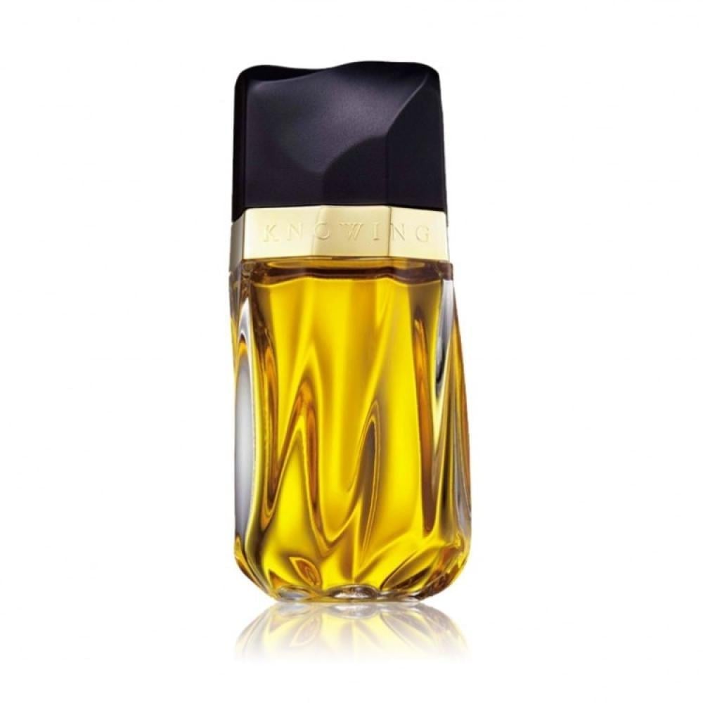 عطر استي لودر نوينج او دو بارفيوم للنساء 75مل - صورة 2