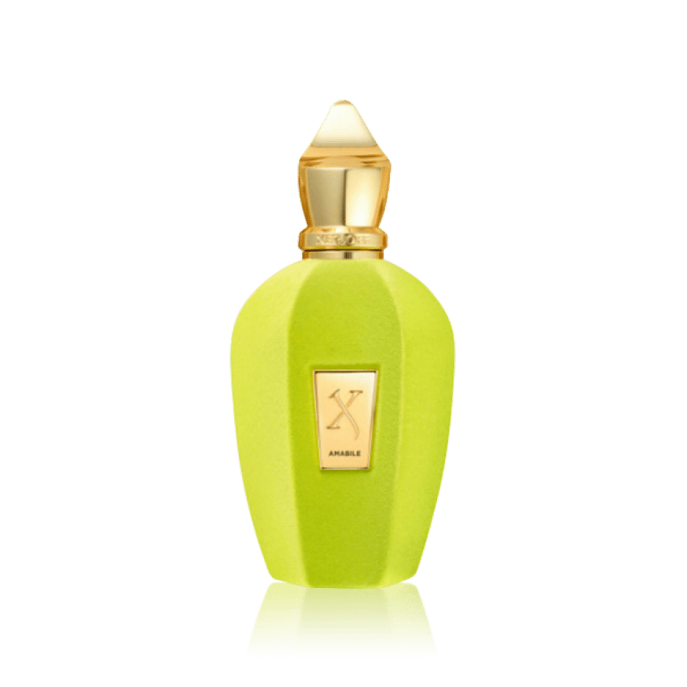 عطر  زيرجوف امابيل او دو بارفيوم 100مل - صورة 3
