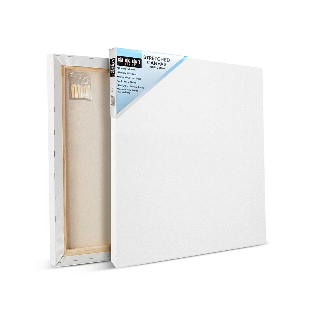 لوحة كانفوس 20×20 مع الوان MXJ-2020 - صورة 2