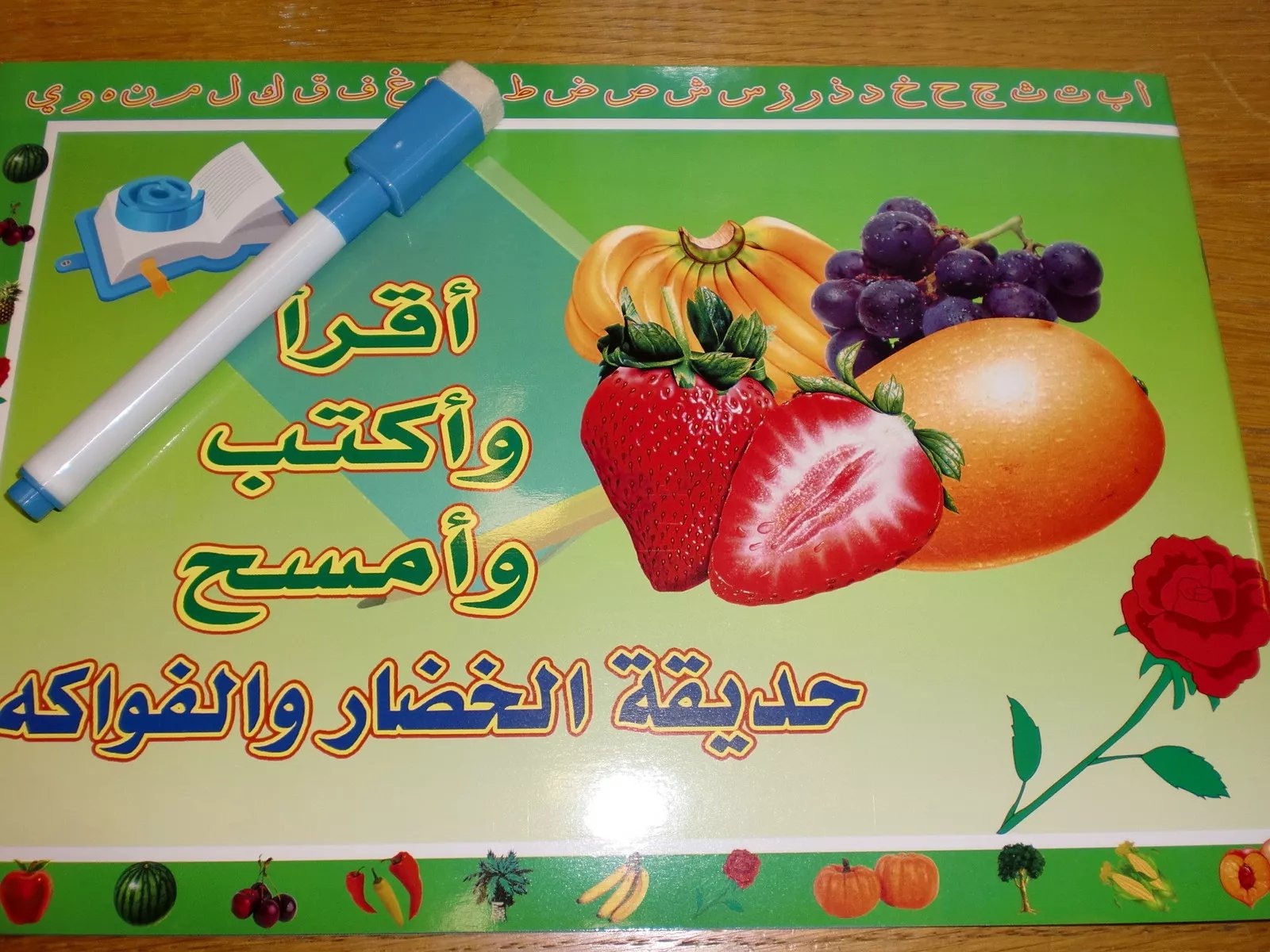 اقرأ واكتب وامسح حروف الهجاء العربية NO.25003-6 - صورة 1