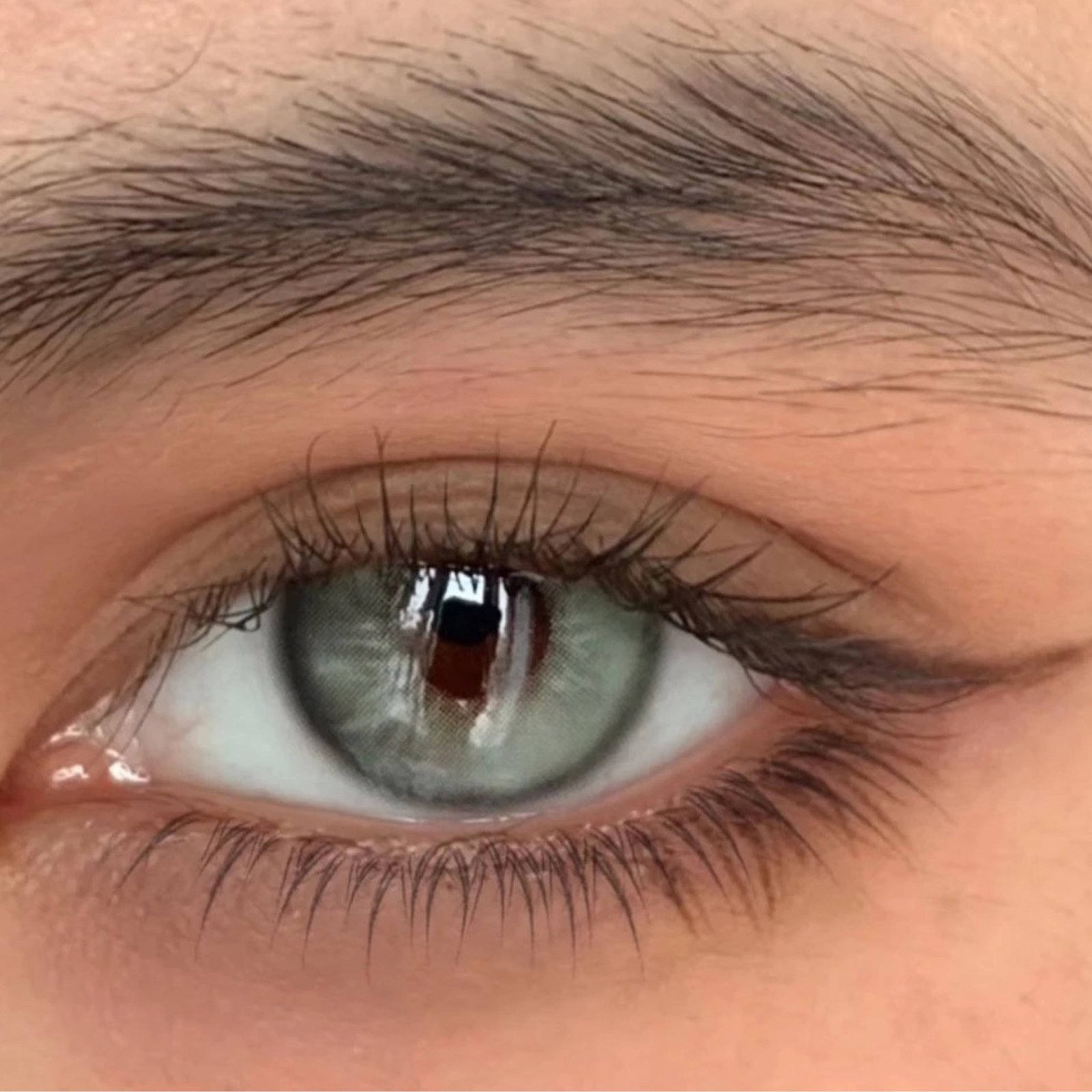 عدسات Apex-Green - Image 1