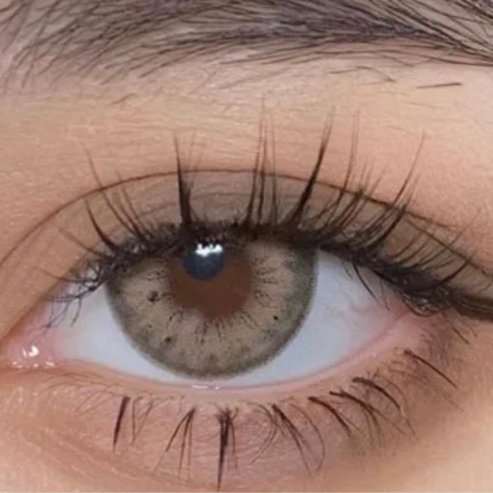 عدسات Black iris - Image 1