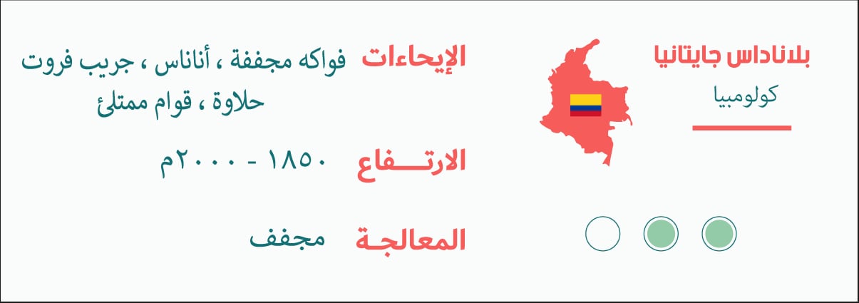 Colombia - Planadas Gaitania - Image 2