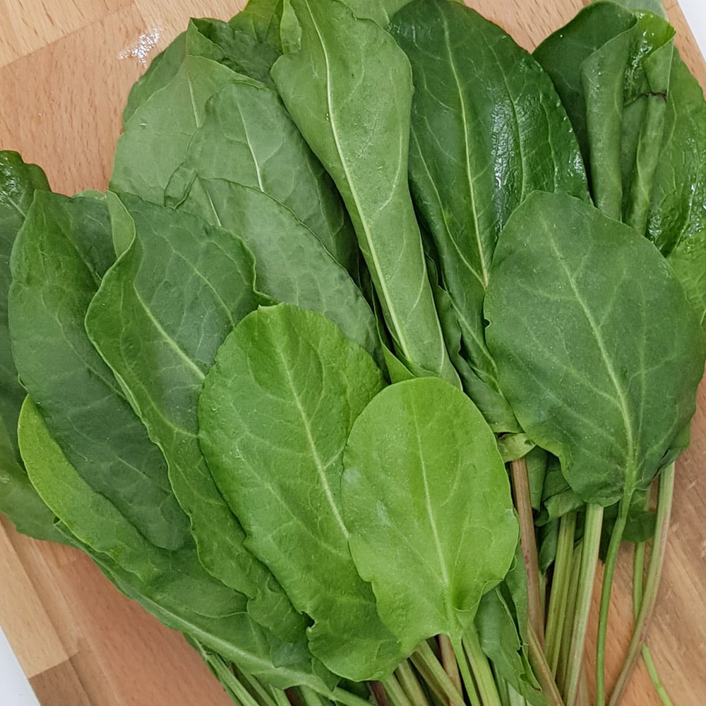 Organic Sorrel - Image 1