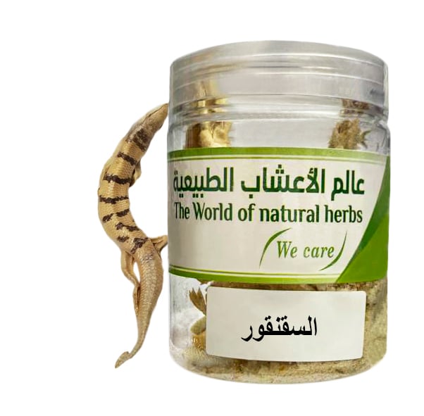 السقنقور ( صقنقور ) - صورة 1