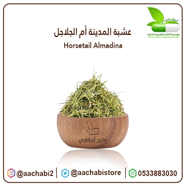 Horsetail Almadina - Image 1