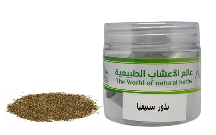 Stevia seed - Image 1
