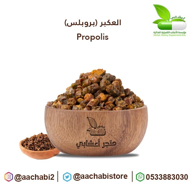 عكبر  ( بروبلس ) - صورة 1