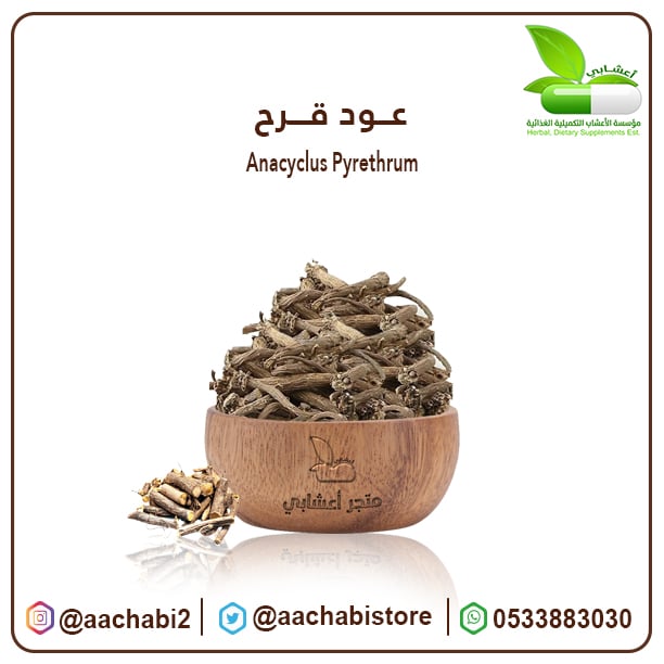 عود قرح - صورة 1