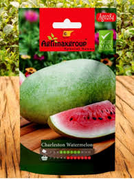 Italian long watermelon seeds - Image 1