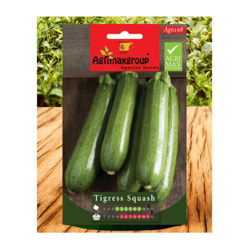 Italian zucchini seeds - Image 1