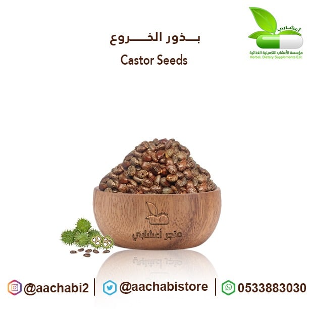 بذور خروع - صورة 1