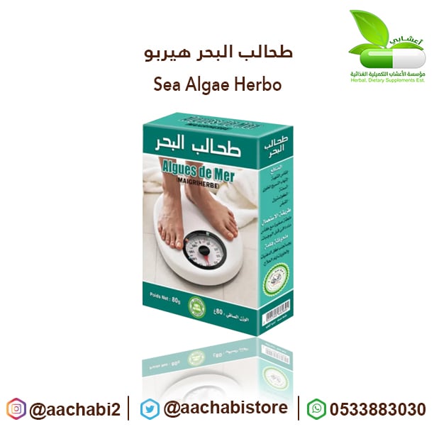 طحالب البحر هيربو - صورة 1