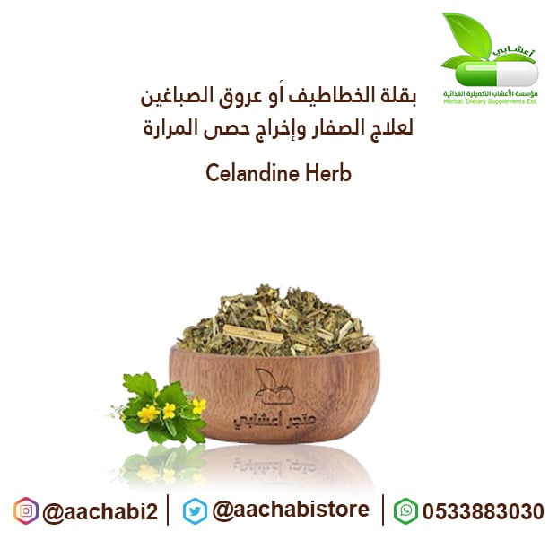 بقلة الخطاطيف عروق الصباغين  لعلاج الصفار وإخراج حصى المرارة - صورة 1