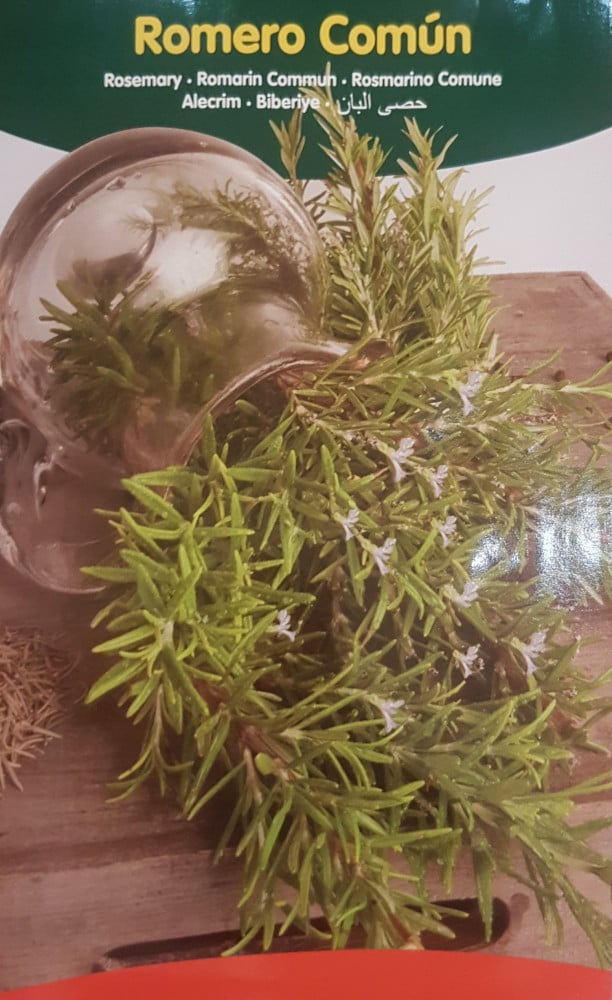 Rosemary seeds - Image 1