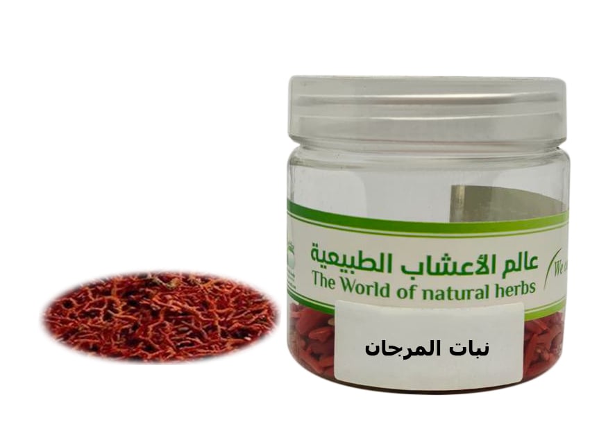 نبات المرجان - صورة 1