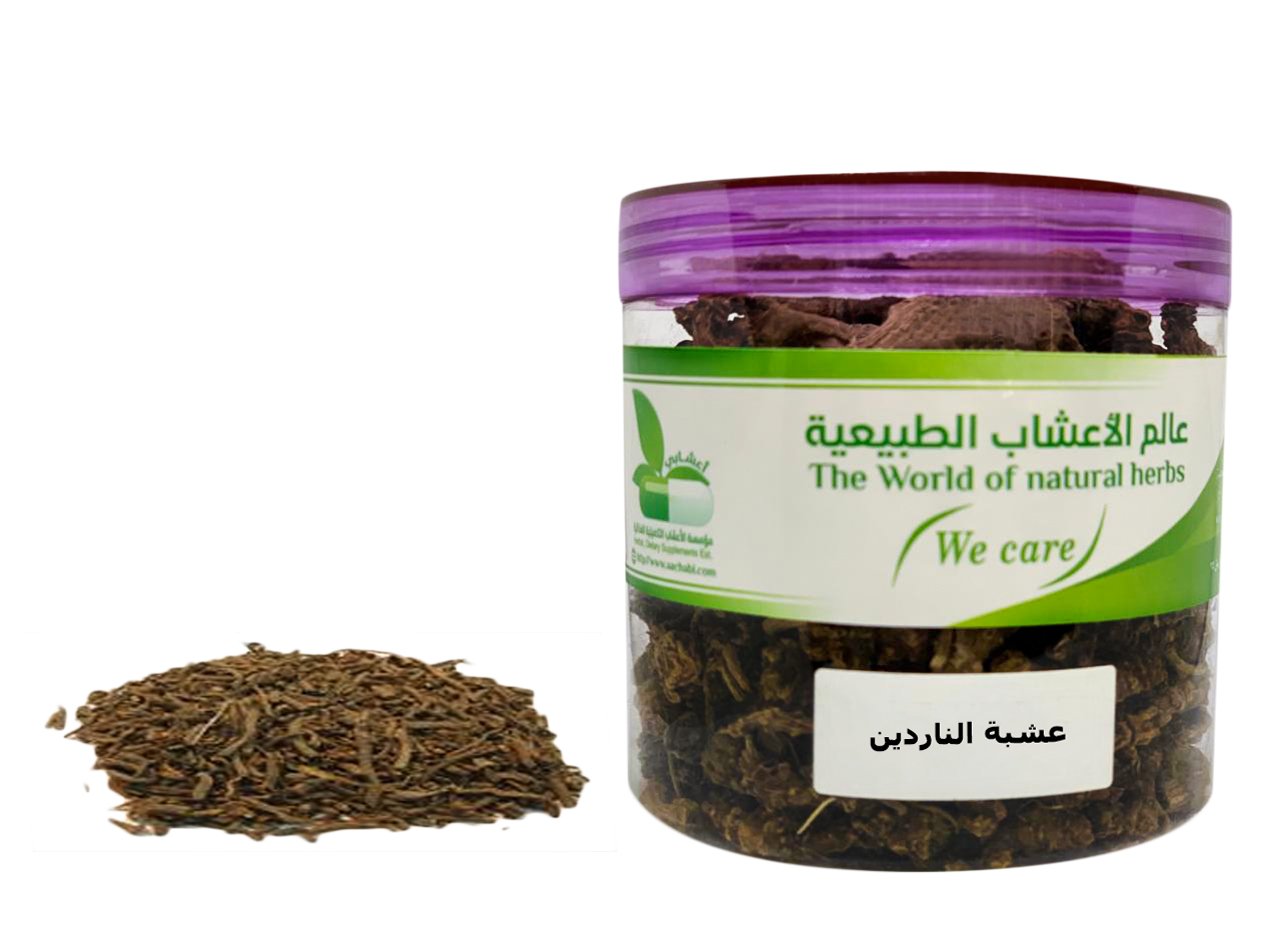 عشبة الناردين الاسارون - صورة 1