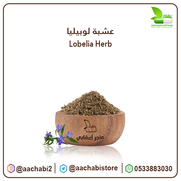 عشبة لوبيليا - صورة 1