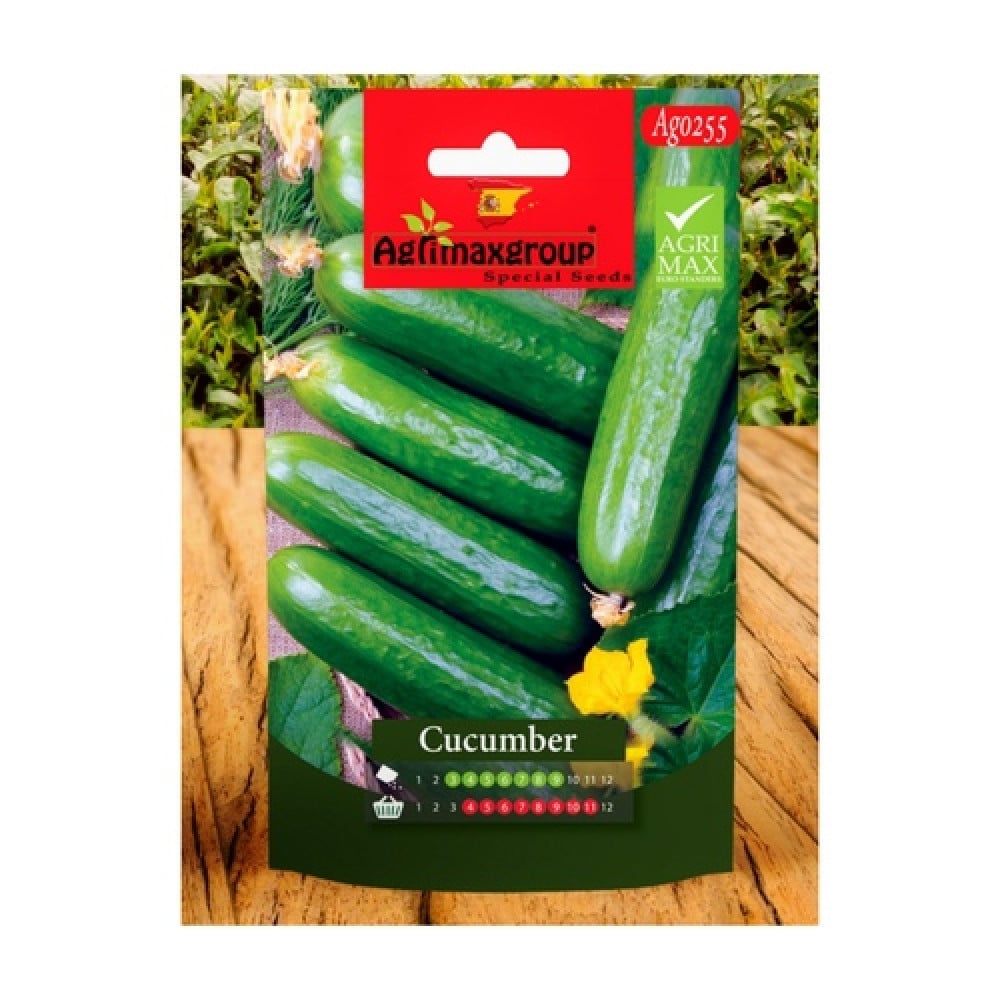 Italian cucumber seeds - Image 1