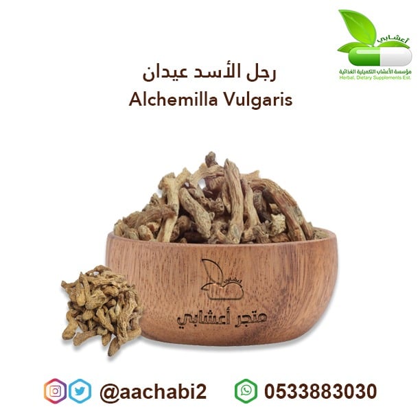 رجل الأسد عيدان - صورة 1
