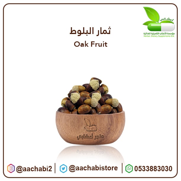 ثمار البلوط - صورة 1