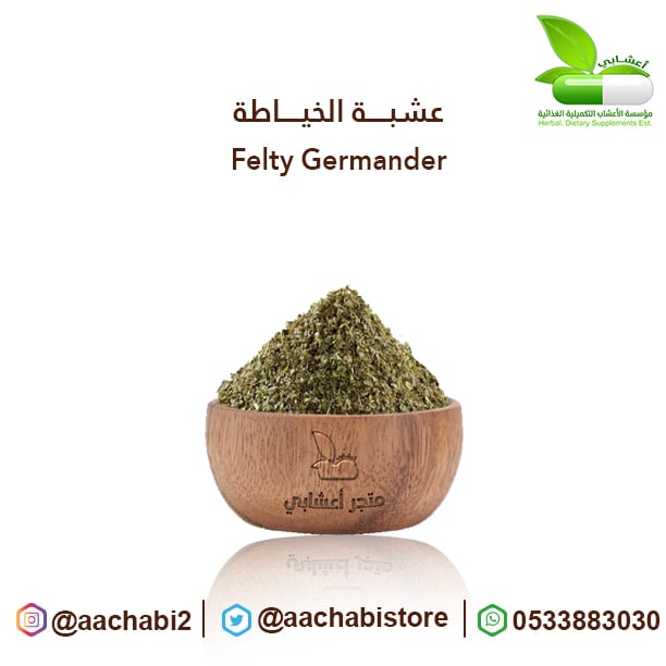 عشبة الخياطة المغربية  - صورة 1