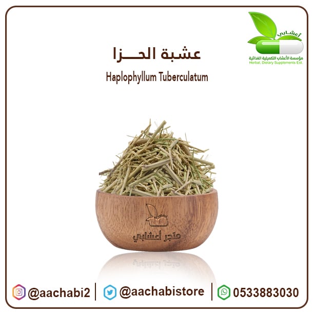 Haplophyllum - Image 1