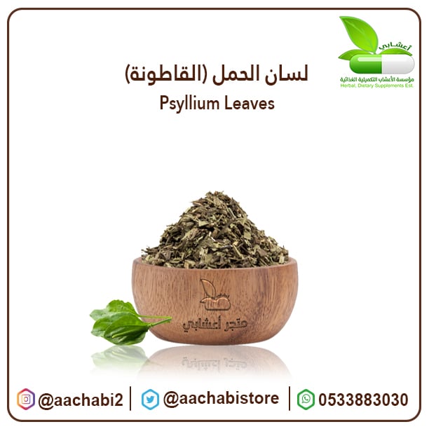 لسان الحمل ( القاطونة ) - صورة 1