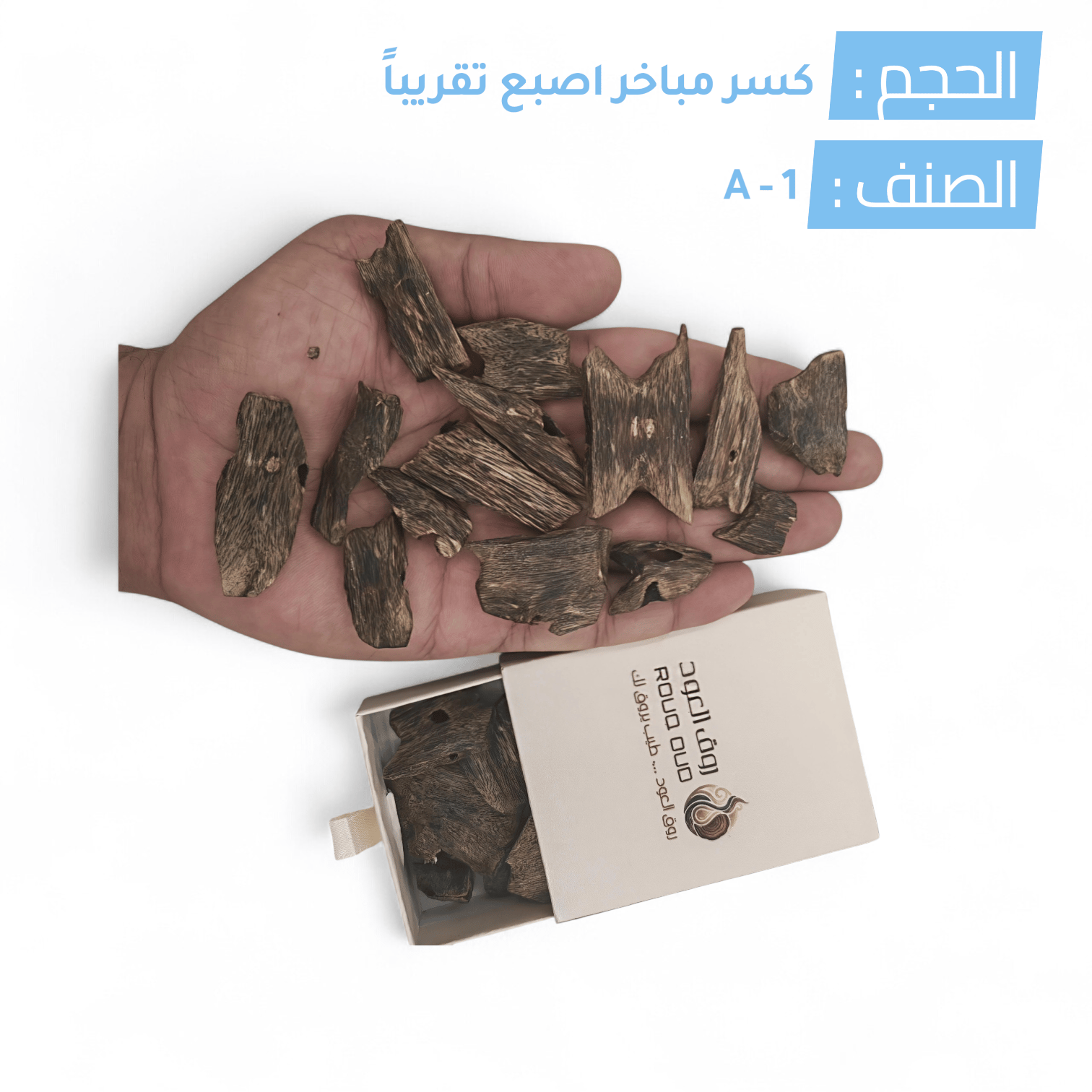 عود كينامي درجة A-1 - صورة 2
