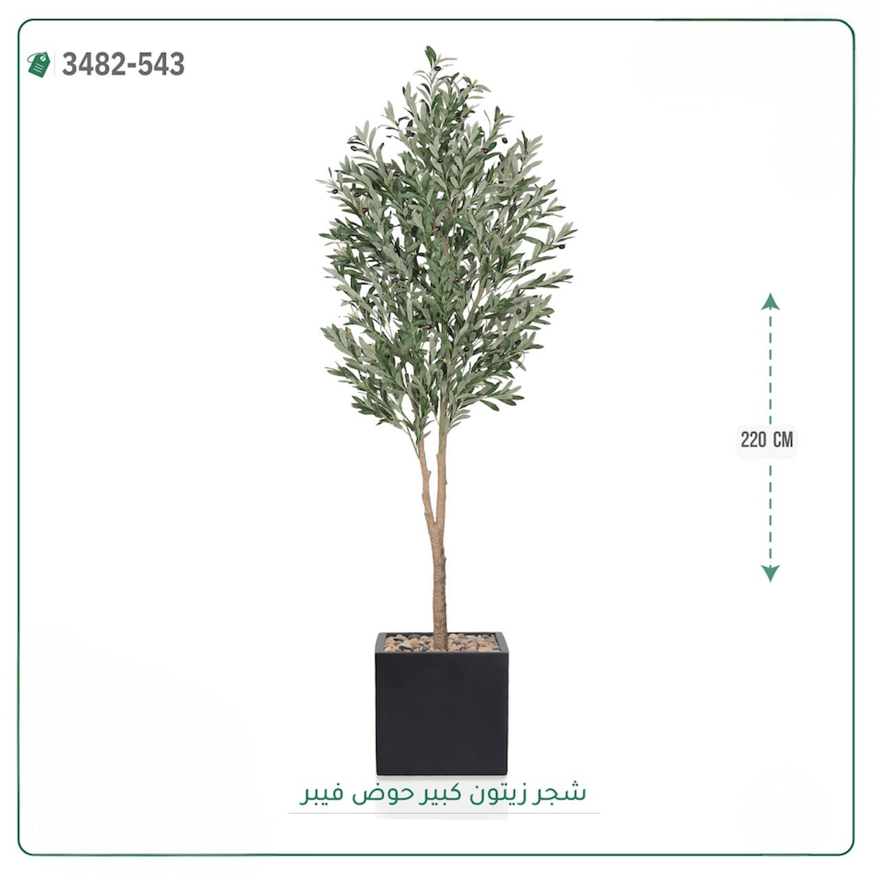 شجرة زيتون صناعية حوض فيبر { ارتفاع 220 سم } - صورة 5