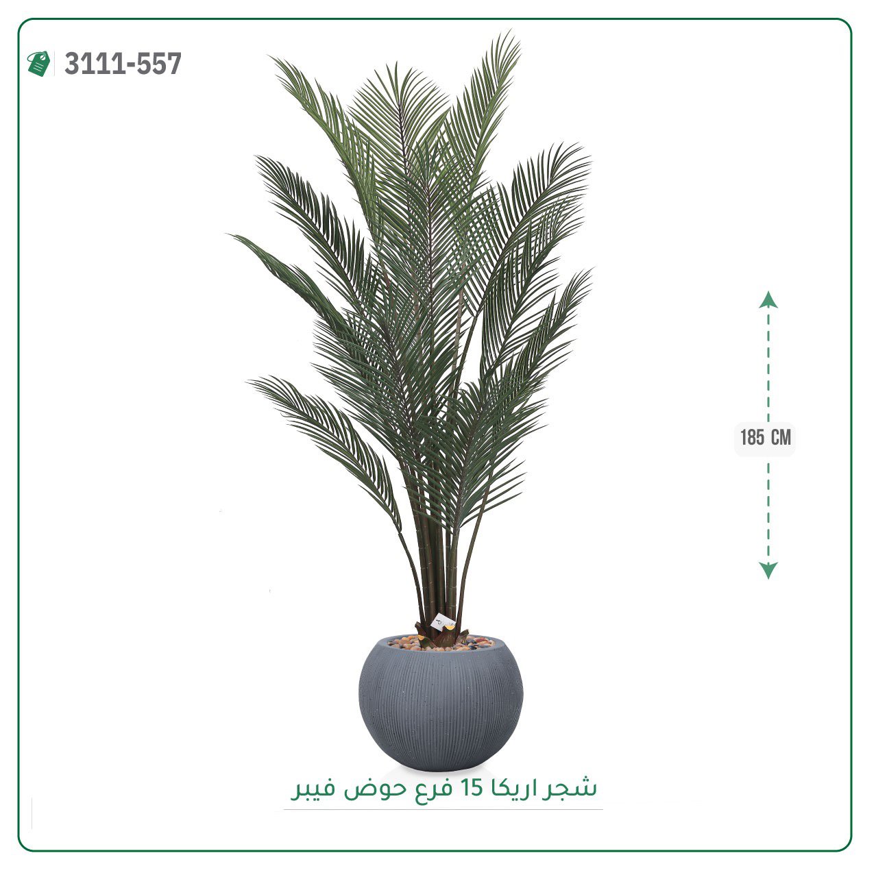 شجرة أريكا صناعية حوض فيبر { ارتفاع 185 سم } - صورة 6