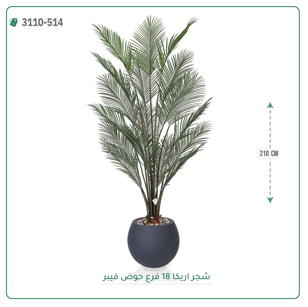 شجرة أريكا صناعية بحوض فيبر - Image 2
