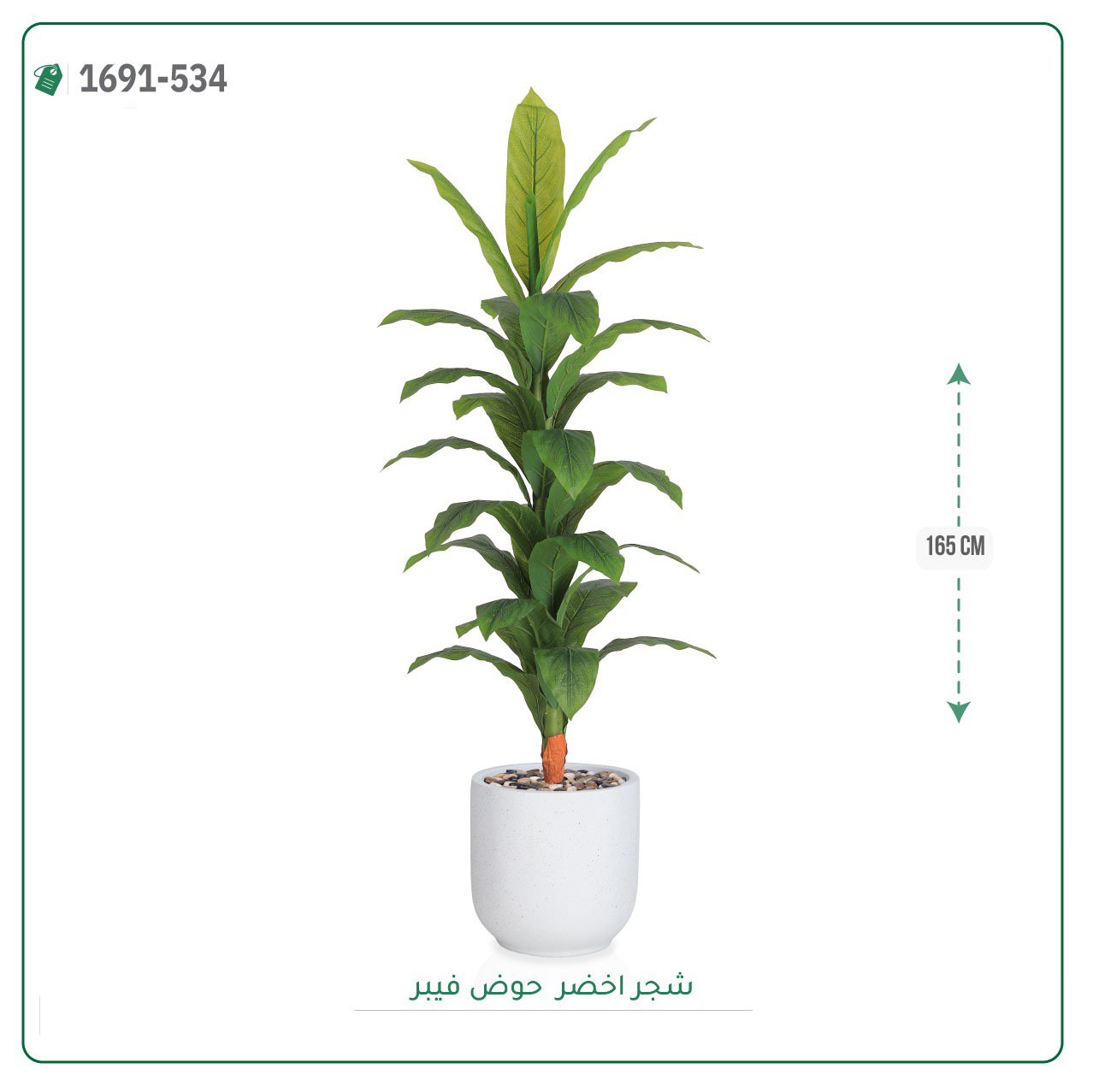 شجرة ورق أخضر وسط بحوض فيبر اسطوانى - صورة 2